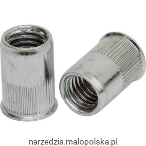 Nitonakrętka stalowa M6 obniżona główka 250szt. Qualfast QFT6441006G PRO20