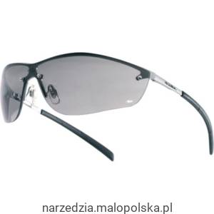SILIUM SILPSF G/MTL FR. SMOKE A/SCRATCH/FOG SPECS Bolle BOL9606410A PRO20