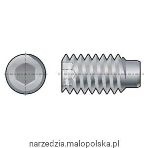 M5x10 wkręt dociskowy DOG POINT (GR-45H) (14.9) Qualfast QFT6023182N QFT-602-3182N