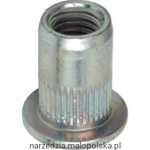 Nitonakrętka stalowa M10 100szt. Qualfast QFT6441034K