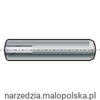 Kołki stalowe 20x100mm z gwintem wewnętrznym 100szt. Qualfast QFT6500252K