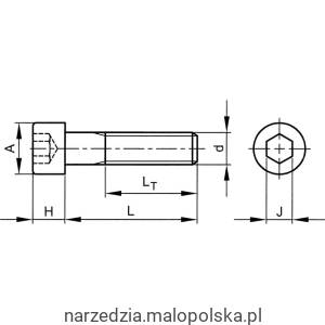 Śruba 5/16" UNCx1.1/4" imbusowa łeb walcowy 100szt. Qualfast QFT6011769T