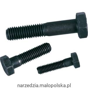 Śruba M10 x 45 śruba z łbem sześciokątnym (8.8) Workshop Industrial Quality CTL6302545E