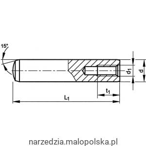Kołki stalowe 16x100mm z gwintem wewnętrznym 100szt. Qualfast QFT6500250K