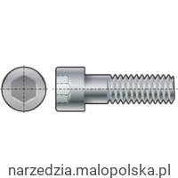 Śruba M20x100 A2 nierdzewna imbusowa klasa 70 100szt. Qualfast QFT6001481D